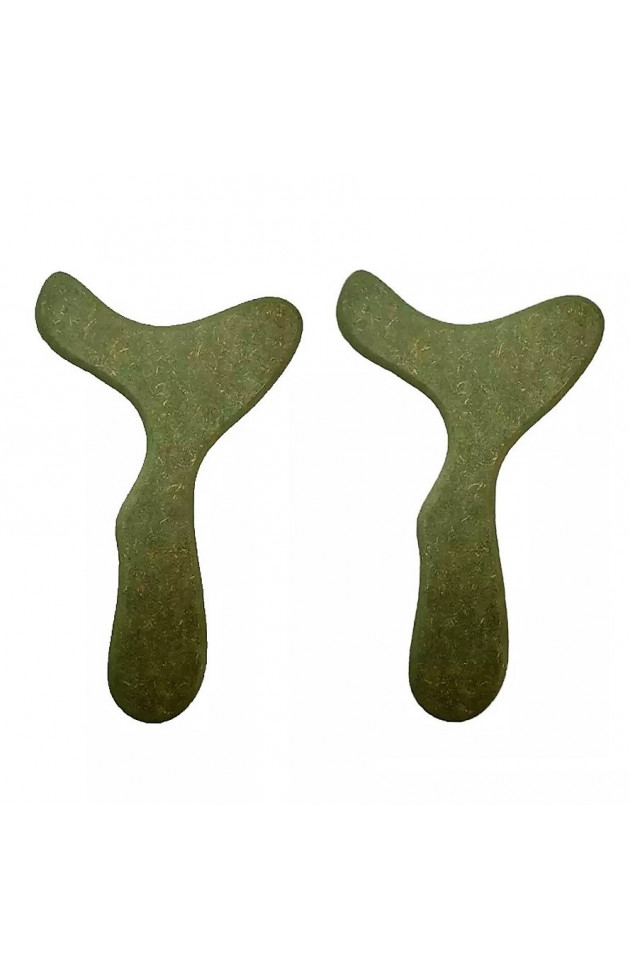 Pantala Corporal