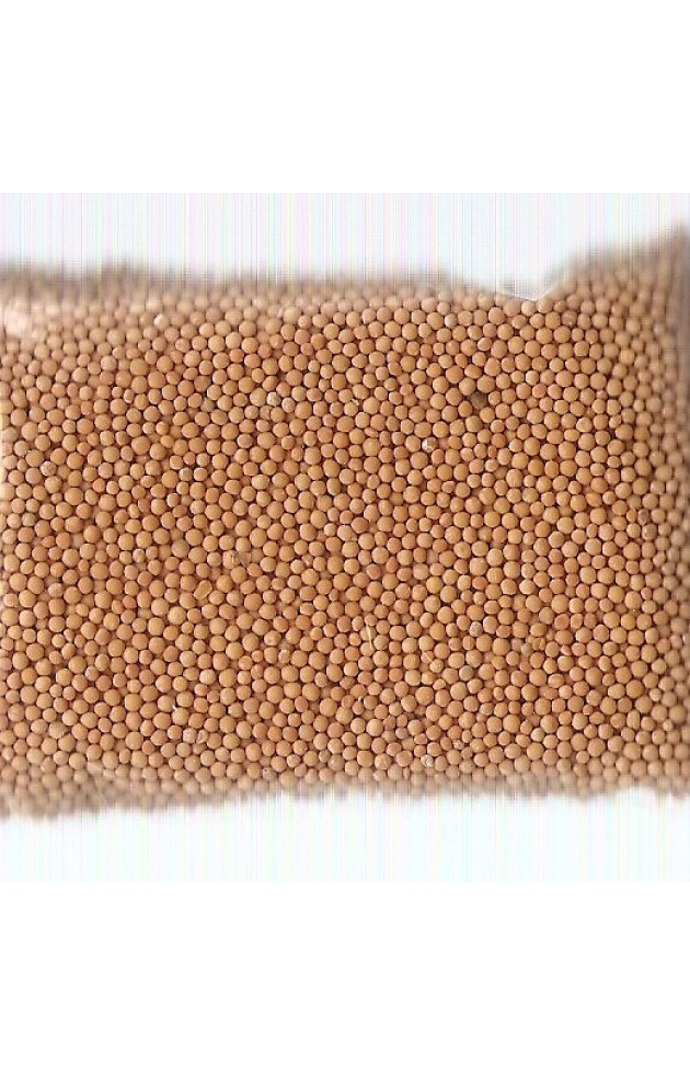 Semente de Mostarda - 1