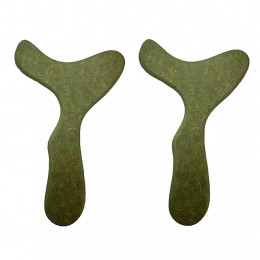 Pantala Corporal